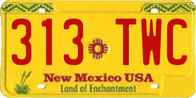 NM license plate 313TWC