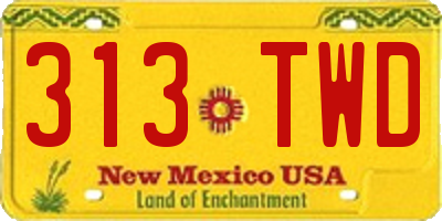 NM license plate 313TWD