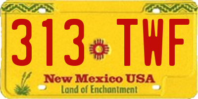 NM license plate 313TWF