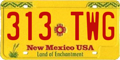 NM license plate 313TWG