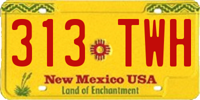 NM license plate 313TWH