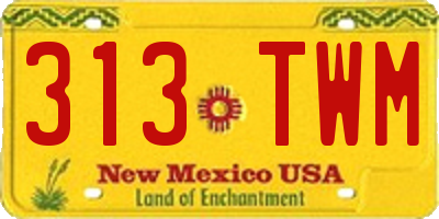NM license plate 313TWM