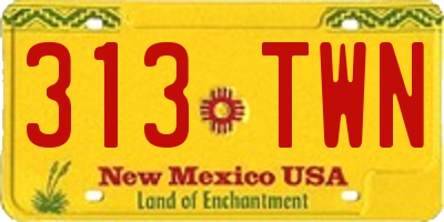 NM license plate 313TWN