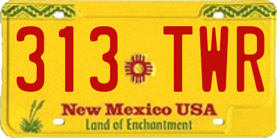 NM license plate 313TWR