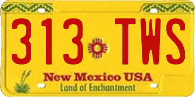 NM license plate 313TWS
