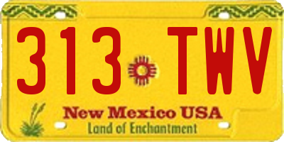 NM license plate 313TWV