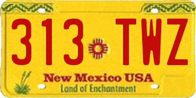 NM license plate 313TWZ