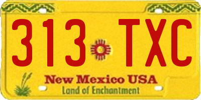 NM license plate 313TXC