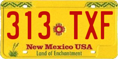 NM license plate 313TXF