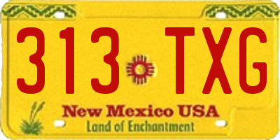 NM license plate 313TXG