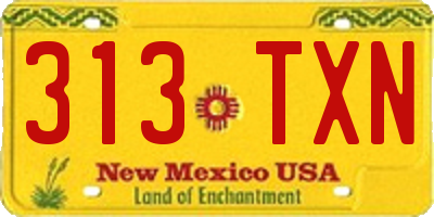NM license plate 313TXN