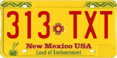 NM license plate 313TXT