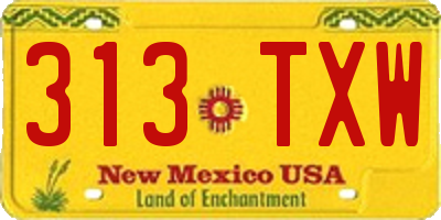 NM license plate 313TXW