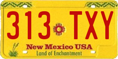 NM license plate 313TXY