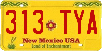NM license plate 313TYA
