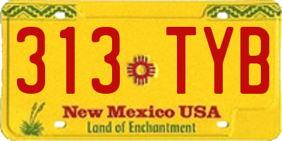 NM license plate 313TYB