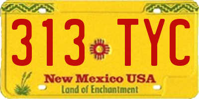 NM license plate 313TYC