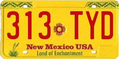 NM license plate 313TYD