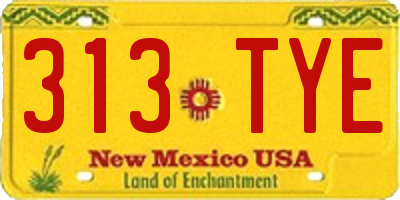 NM license plate 313TYE