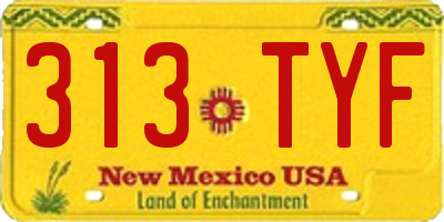 NM license plate 313TYF