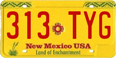 NM license plate 313TYG