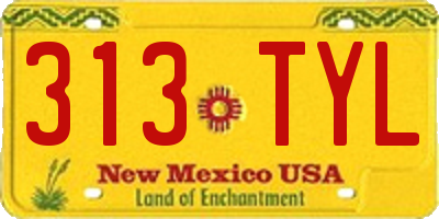 NM license plate 313TYL