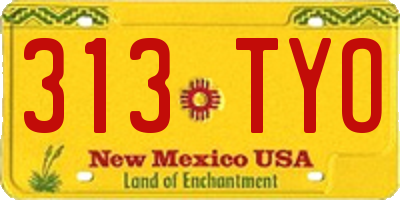 NM license plate 313TYO