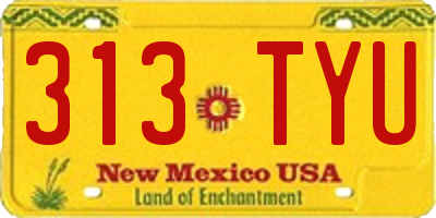NM license plate 313TYU