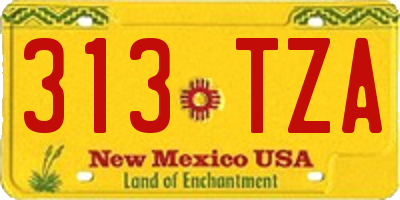 NM license plate 313TZA