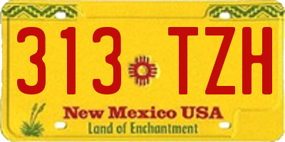 NM license plate 313TZH