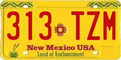 NM license plate 313TZM