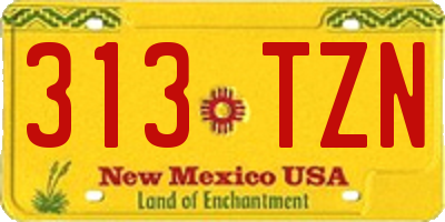NM license plate 313TZN