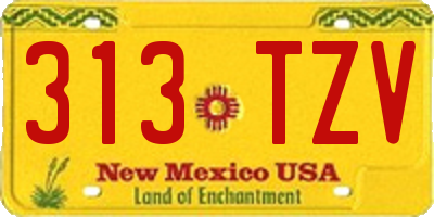NM license plate 313TZV