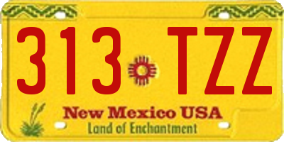 NM license plate 313TZZ