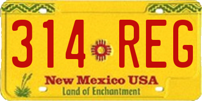NM license plate 314REG
