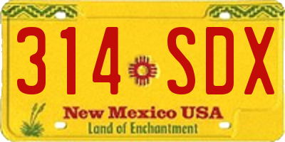 NM license plate 314SDX