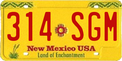 NM license plate 314SGM
