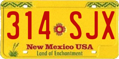 NM license plate 314SJX