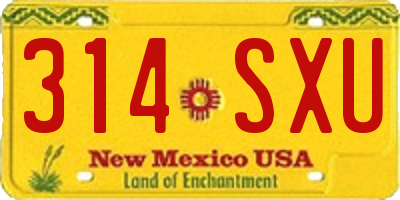 NM license plate 314SXU