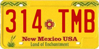 NM license plate 314TMB
