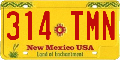 NM license plate 314TMN