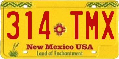 NM license plate 314TMX
