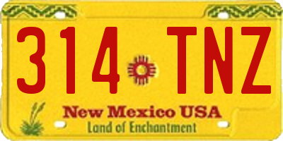 NM license plate 314TNZ