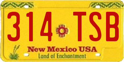 NM license plate 314TSB