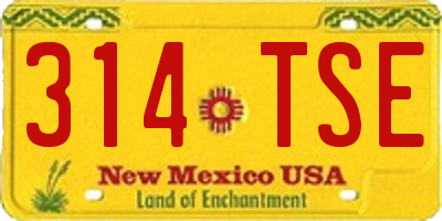 NM license plate 314TSE