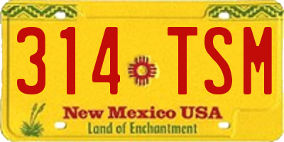 NM license plate 314TSM
