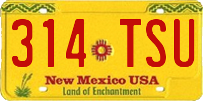 NM license plate 314TSU