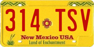 NM license plate 314TSV