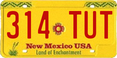 NM license plate 314TUT