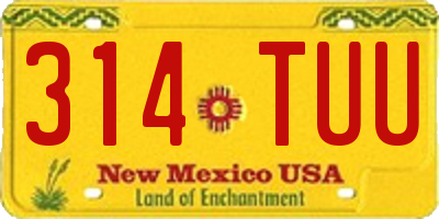 NM license plate 314TUU